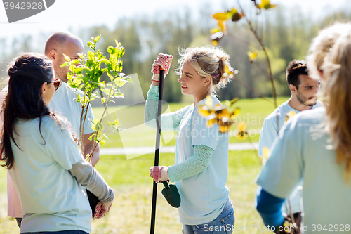 Image of group of volunteers planting trees in park