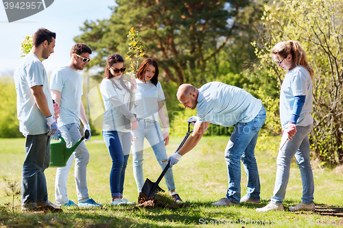 Image of group of volunteers planting tree in park