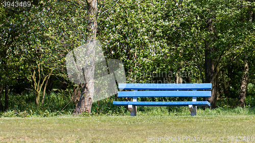 Image of Blue bench in a public park