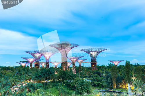 Image of Garden by The Bay, Singapore