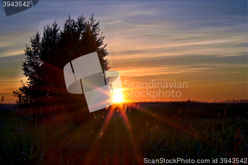 Image of Sunset Sunbeams