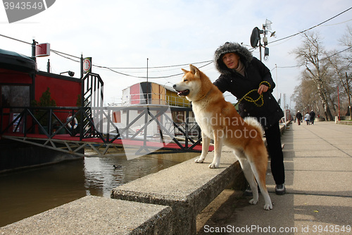 Image of Lady and her dog