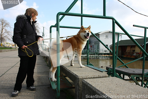 Image of Lady and her dog