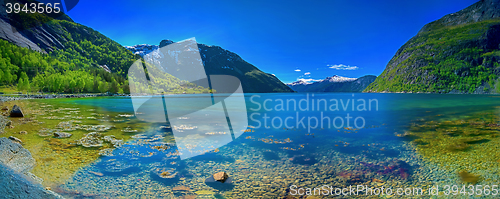Image of Panorama of a Norwegian fjord