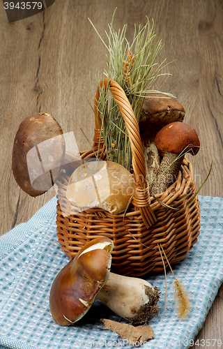 Image of Raw Forest Mushrooms