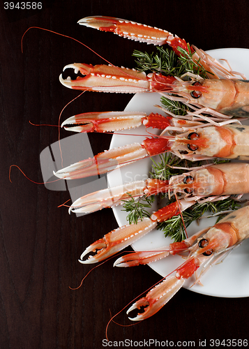 Image of Delicious Raw Langoustines