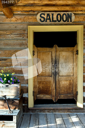 Image of Saloon doors