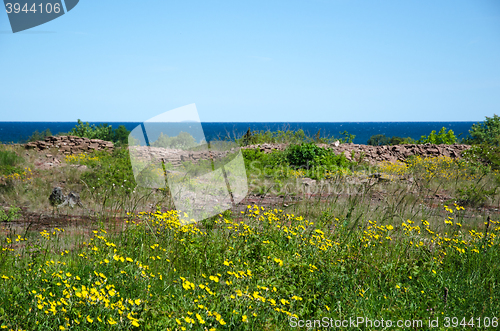 Image of Summer view over the sea