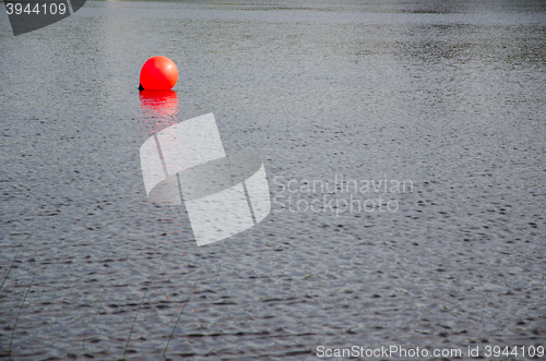 Image of Shiny red buoy
