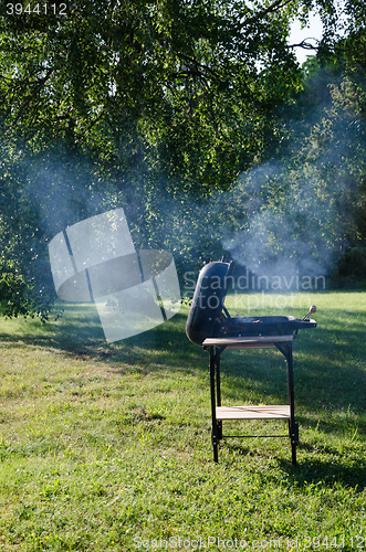 Image of Barbecue in a green garden