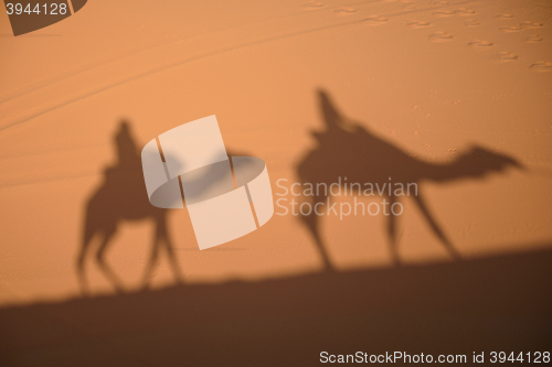 Image of Camel shadows on Sahara Desert sand in Morocco.
