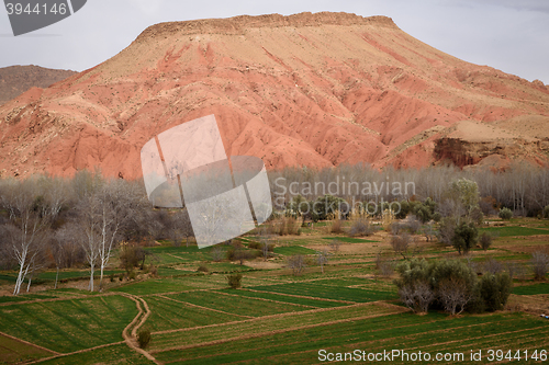 Image of Scenic landscape in Dades Gorges, Atlas Mountains, Morocco