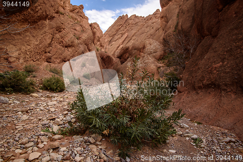 Image of Scenic landscape in Dades Gorges, Atlas Mountains, Morocco