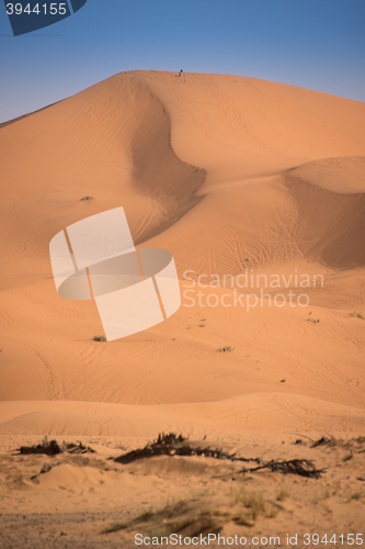 Image of Dunes, Morocco, Sahara Desert