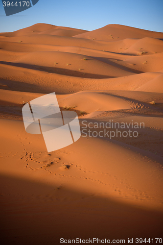 Image of Dunes, Morocco, Sahara Desert