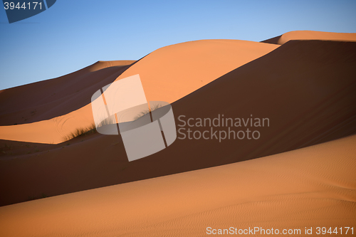 Image of Dunes, Morocco, Sahara Desert