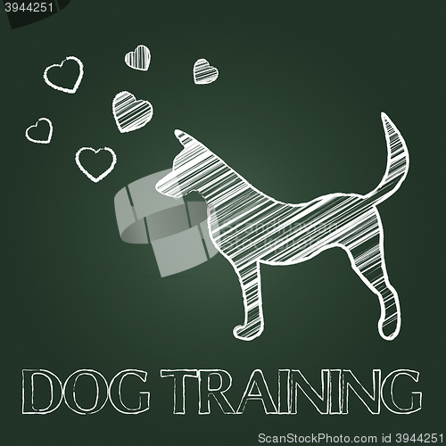 Image of Dog Training Indicates Pets Puppy And Pups