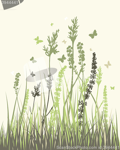 Image of Summer meadow 