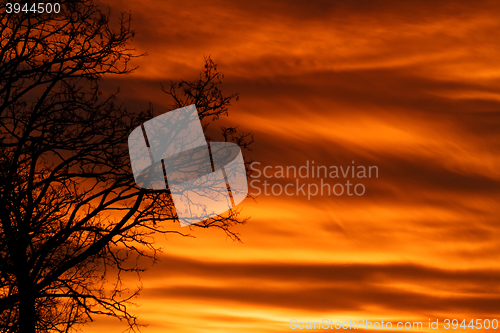 Image of Sunset background