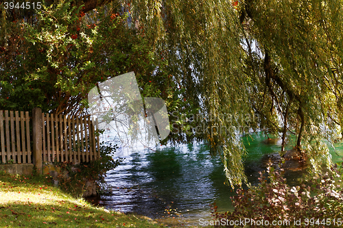 Image of Lake in the park