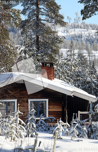 Image of wooden house in the forest