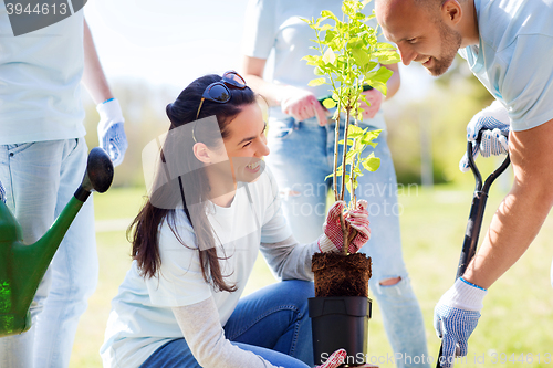 Image of group of volunteers planting tree in park