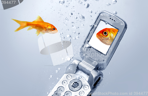 Image of A goldfish swims by a cell phone