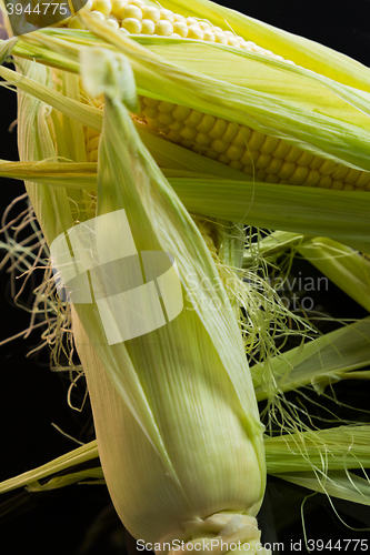 Image of Fresh corn on the cob over a black background