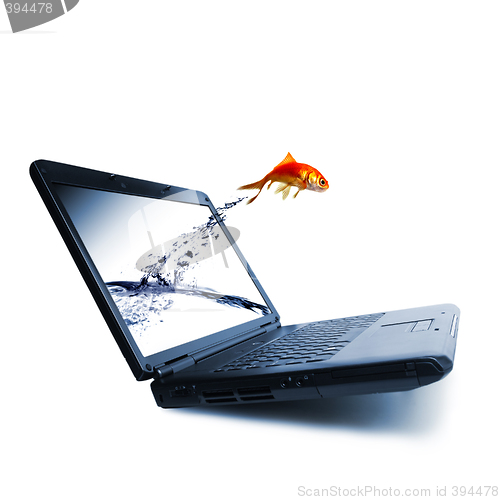 Image of Goldfish jump