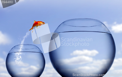 Image of goldfish jumping out of the water