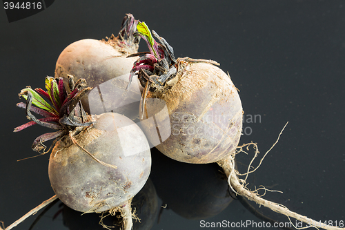 Image of Three farm fresh raw beetroot