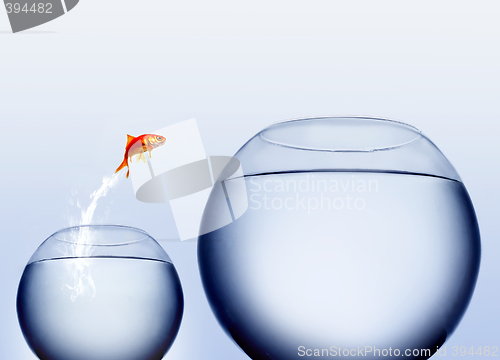 Image of goldfish jumping out of the water