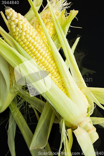 Image of Fresh corn on the cob over a black background