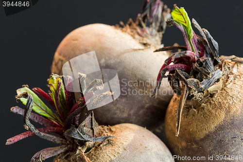 Image of Three farm fresh raw beetroot