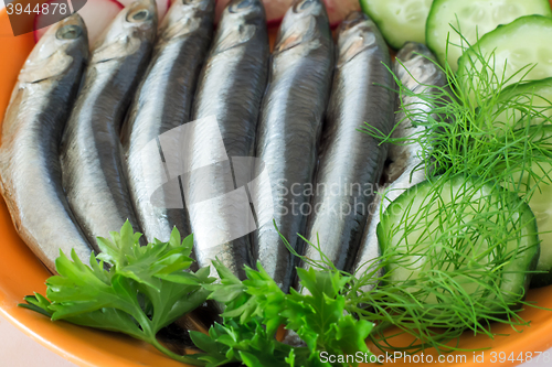 Image of Small salted fish anchovies on the plate with cucumber and herbs