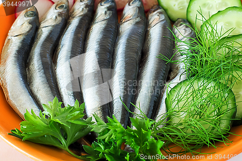 Image of Small salted fish anchovies on the plate with cucumber and herbs