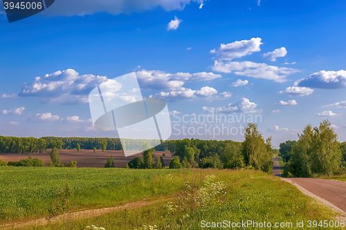 Image of Summer landscape on a clear Sunny day.