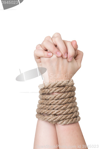 Image of Tied hands, isolated  white
