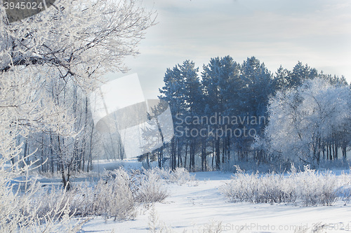 Image of winter landscape of snow-covered fields, trees 