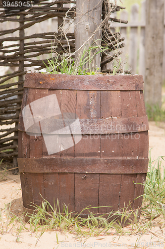 Image of Old wooden barrel adapted as a bed for flowers