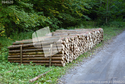 Image of wood piles