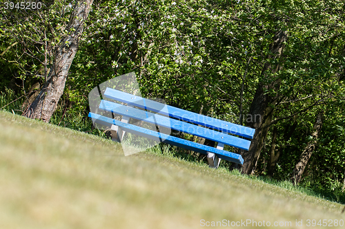 Image of Blue bench in a public park