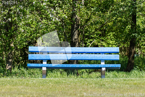 Image of Blue bench in a public park