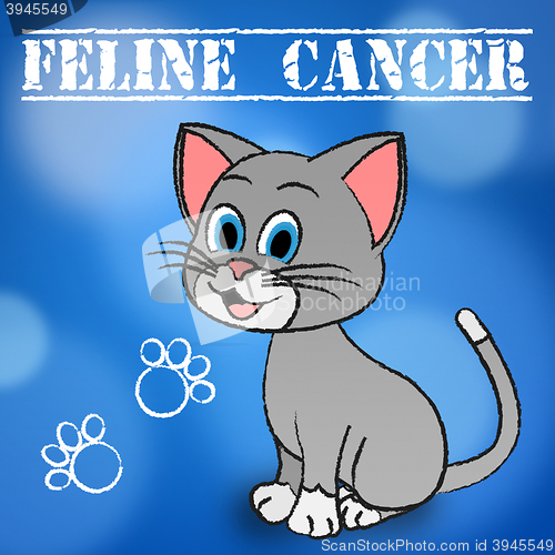 Image of Feline Cancer Represents Malignant Growth And Cat