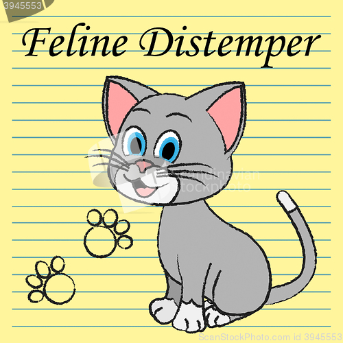 Image of Feline Distemper Represents Domestic Cat And Cats