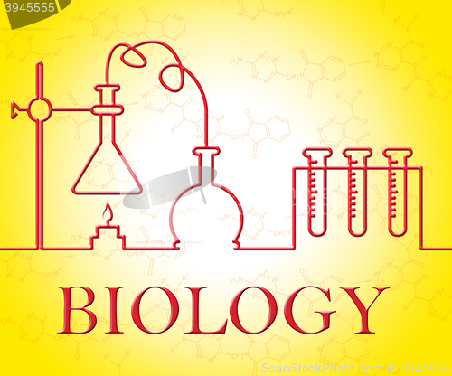 Image of Biology Experiment Means Researcher Test And Investigation