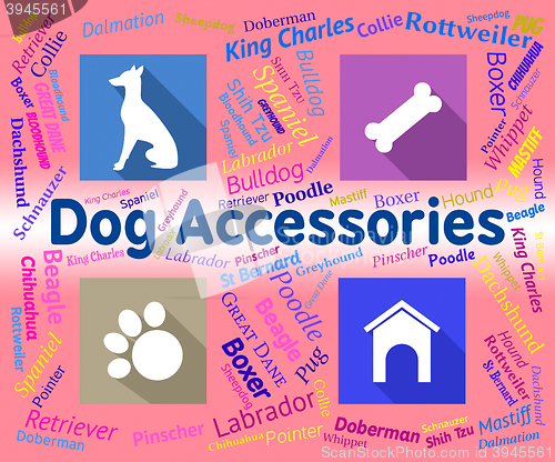 Image of Dog Accessories Indicates Canine Accessory And Pedigree