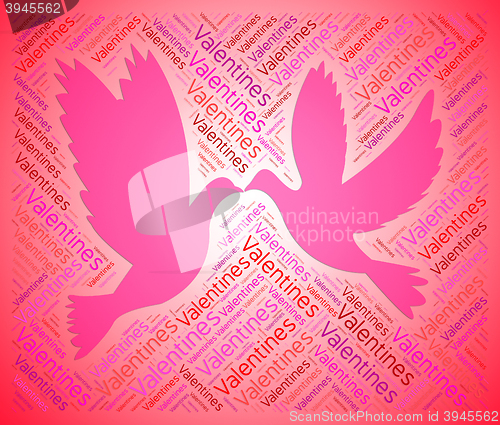 Image of Valentines Doves Indicates Love Lover And Day