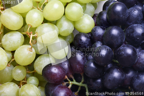 Image of Grape cluster