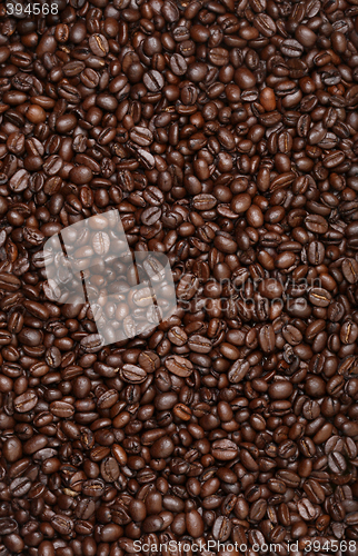 Image of Coffee Beans